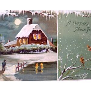 New Years Postcard Lakeside Home Full Moon Icicles Robins Birds 150 Germany 1909